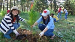 Sinh viên Đại học Đà Lạt hưởng ứng phong trào trồng cây xanh.