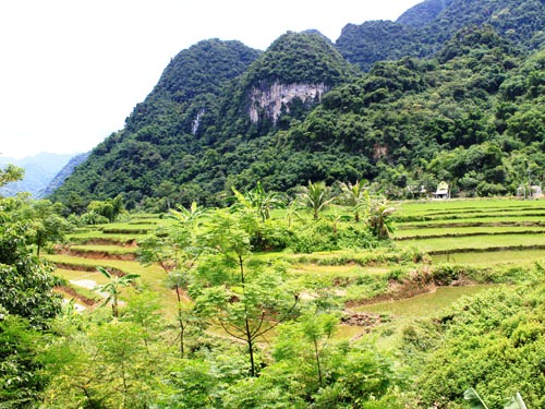 Diện tích đất nông nghiệp của hộ dân ở bản Chiềng Ai, xã hạ Trung, huyện Bá Thước nằm trong lòng hồ dự án thủy điện Bá Thước 2