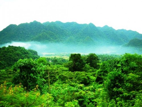 Một góc Khu bảo tồn thiên nhiên Pù Hu