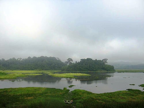 Ramsar Bàu Sấu trong Vườn Quốc gia Cát Tiên sẽ ảnh hưởng trầm trọng hoặc có thể biến mất nếu xây dựng 2 thủy điện Đồng Nai 6, 6A 