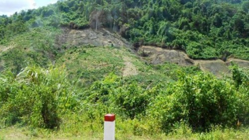 Đất giao cho bà con bản Khe Cát, xã Trường Sơn, huyện Quảng Ninh đã lâu nhưng chưa trồng rừng vì thiếu vốn (Nguồn: Báo Nhân Dân)