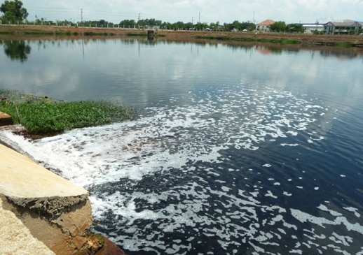 Ô nhiễm về môi trường chủ yếu do người dân và các phương tiện thông tin đại chúng phát hiện (Ảnh minh họa: ThienNhien.Net)