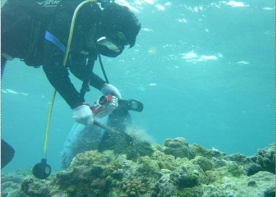 Ðiều tra nghiên cứu nguồn lợi sinh vật biển tại khu vực quần đảo Trường Sa.