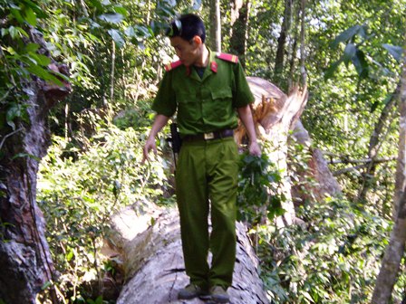 Ảnh minh họa: Việt Hưng