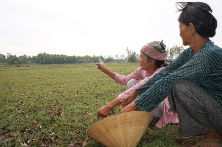 Nông dân Quảng Nam bên ruộng đồng bị bỏ hoang nhiều tháng nay (Ảnh: Dân Việt)