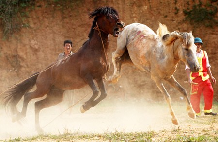 Cuộc đấu không khoan nhượng (Ảnh: VGP/Quang Tiến)