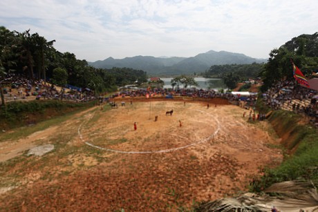 Toàn cảnh đấu trường (Ảnh: VGP/Quang Tiến)