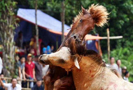 "Kỳ phùng địch thủ" (Ảnh: VGP/Quang Tiến)