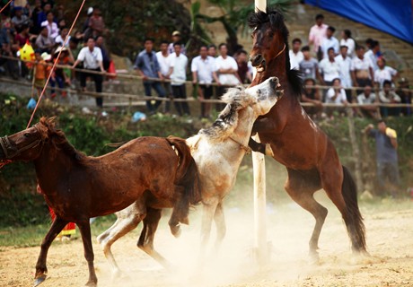 Ảnh: VGP/Quang Tiến