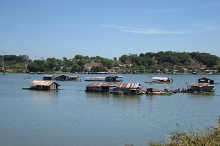 Một làng cá trên sông Đồng Nai (Ảnh: laodong.com.vn/Báo Tin tức) 