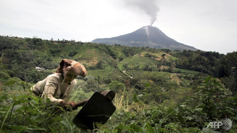 Trên một cánh đồng ở Karo gần núi lửa Sinabung phun trào năm 2010 (Ảnh: AFP/www.phunuonline.com.vn)