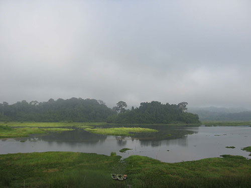 Ramsar Bàu Sấu trong Vườn Quốc gia Cát Tiên sẽ ảnh hưởng trầm trọng hoặc có thể biến mất nếu xây dựng 2 thủy điện Đồng Nai 6, 6A (Ảnh: phunutoday.vn)