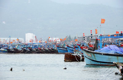 Hàng ngàn tàu thuyền đánh cá của các tỉnh miền Trung vào neo đậu tại âu thuyền Thọ Quang, quận Sơn Trà (thành phố Đà Nẵng) để trú bão số 10 (Ảnh: Nguyên Khôi/Sài Gòn Giải Phóng)