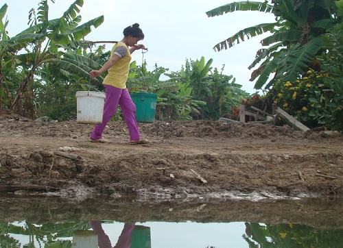 Đến năm 2015, 80-85% dân số ĐBSCL sẽ có nước sạch. Ảnh: Hoàng Chiên/ ThienNhien.Net