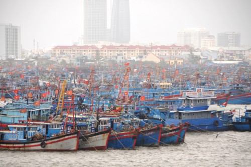 Hiện có khoảng 900 chiếc thuyền đang neo trú tại Khu trú bão Thọ Quang. TP Đà Nẵng. (Ảnh: Hồng Hạnh/Chinhphu.vn)