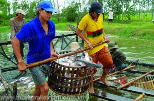 Ảnh minh hoạ:Huy Hùng/ Diễn đàn Đầu tư