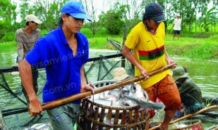 Ra mắt thực đơn thủy hải sản bền vững