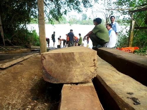Lực lượng Công an huyện Gio Linh trục vớt nhiều khối gỗ lậu trên sông Bến Hải