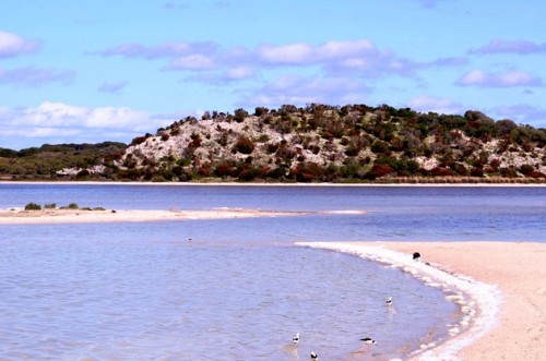 Vẻ hoang sơ của đảo Rottnest (Ảnh: Đỗ Vân/VietnamPlus)