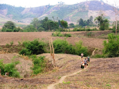 Đất canh tá ở Tây Nguyên ngày càng khô cằn (Ảnh: ThienNhien.Net)