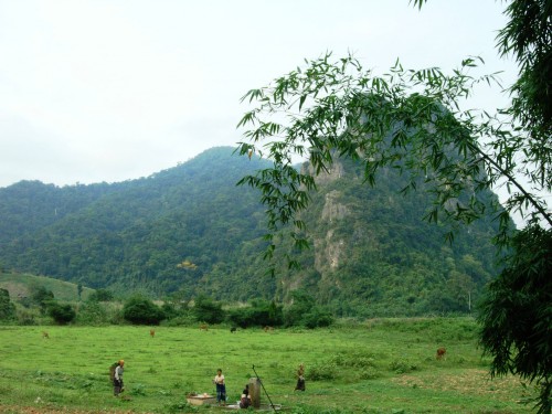 Ảnh minh họa: ThienNhien.Net