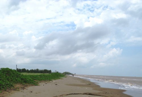 Ảnh minh họa: ThienNhien.Net