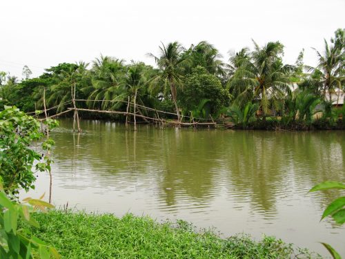 Ảnh minh họa: ThienNhien.Net