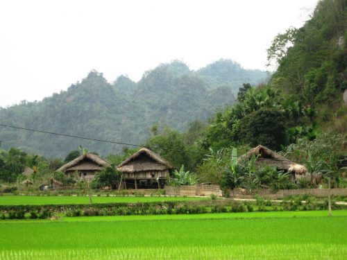 Ảnh minh họa: ThienNhien.Net