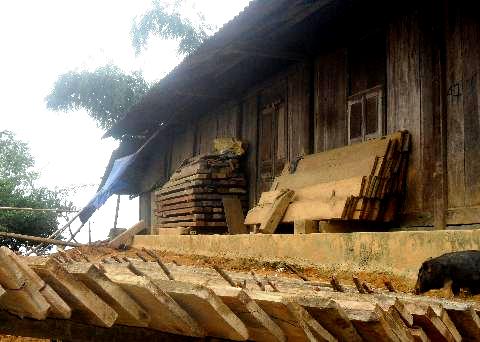 Đống gỗ phía sau nhà Lờ A Dê (Ảnh: Nông nghiệp Việt Nam)  