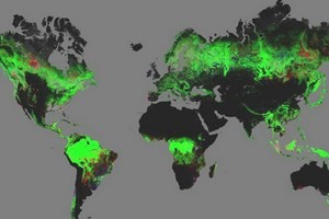 Bản đồ diện tích rừng Trái Đất (Ảnh: BBC/Chinhphu.vn)