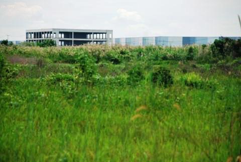 Một khu nhà xưởng hiếm hoi trong KCN Đông Nam nhưng cũng đang bỏ hoang sau khi đầu tư cả tỷ USD