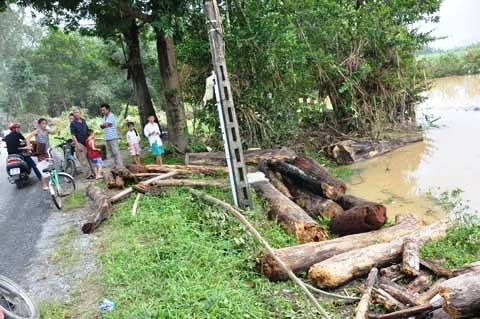 Gỗ rừng được người dân vớt trong lũ tập kết lên lề đường tỉnh lộ 623 và đang rao bán