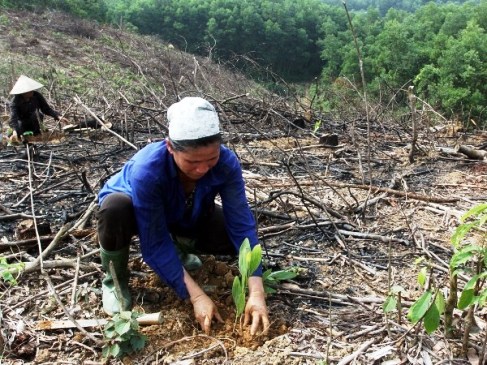 Đồng bào dân tộc thiểu số tỉnh Quảng Bình cần đất sản xuất (Ảnh: TTXVN)