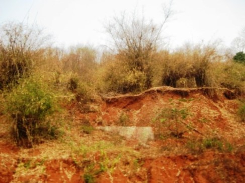 Xâm lấn đất đai do người dân thiếu đất sản xuất (Ảnh: Hùng Võ/Vietnam+)