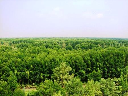 Ảnh minh họa: Dân Việt