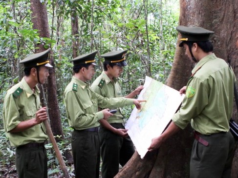 Lực lượng Kiểm lâm của Khu Bảo tồn thiên nhiên-văn hóa Đồng Nai đối chiếu bản đồ để kiểm tra thực địa (Ảnh: Quang Quyết/TTXVN)