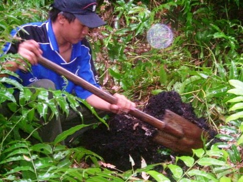 Khảo sát đất than bùn tại Vườn quốc gia U Minh Hạ thuộc tỉnh Cà Mau. (Ảnh: Bá Lục)
