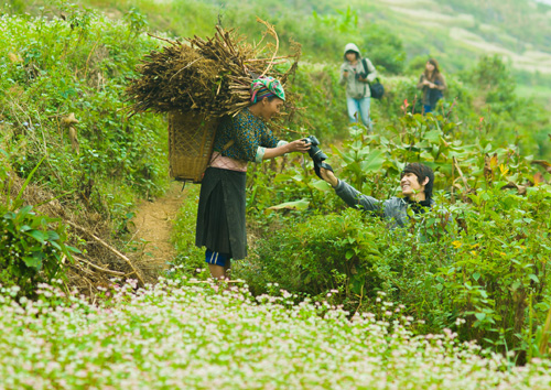 Nhiều khách du lịch đến Hà Giang để “thưởng” hoa.