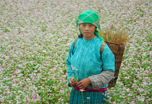 Một mình bên nương hoa