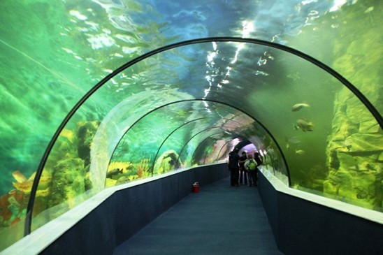 Ngôi nhà mới của những chú chim cánh cụt này là Vinpearl Aquarium Times City - thuỷ cung lớn nhất tại Việt Nam, được xây dựng trong lòng một khu đô thị ở Hà Nội