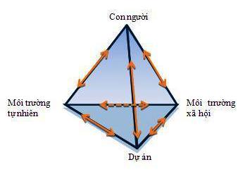 Sơ đồ thể hiện vai trò của việc lập Đánh giá tác động xã hội các dự án