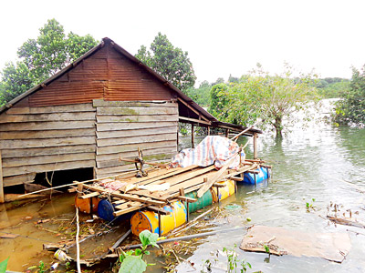 Thủy điện Đồng Nai 2 tích nước gây ngập nhiều nhà cửa và cà phê của dân, trong khi chưa thực hiện xong đền bù