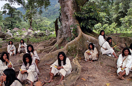 Thăm người Kogi