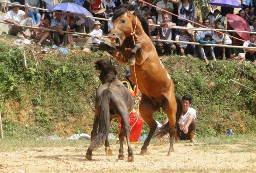 Các đấu sỹ đang trình diễn trên sân khấu