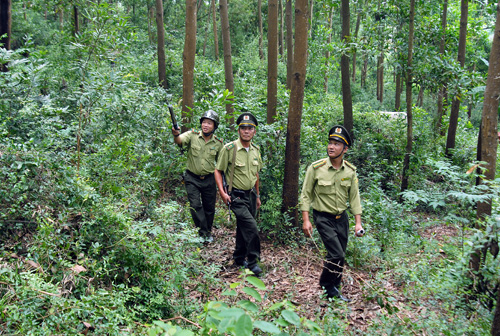 Tuần tra, kiểm soát thường xuyên là một trong những biện pháp bảo vệ rừng hữu hiệu. (Ảnh: Quang Quyết/TTXVN)