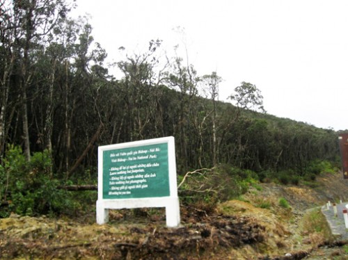 Giảm 2.300 vụ vi phạm pháp luật về bảo vệ rừngTrồng rừng tại Vườn Quốc gia Núi Bà (Ảnh: Tràng An/Thanh tra)
