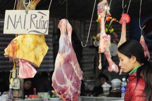 Ảnh minh họa: ENV