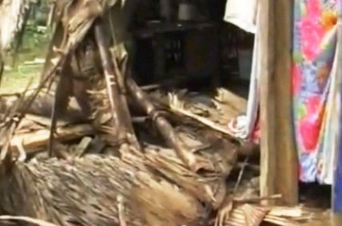 Đàn voi rừng phá tan hoang nhà gia đình anh Tuyển (Ảnh: Đài truyền hình Nghệ An)