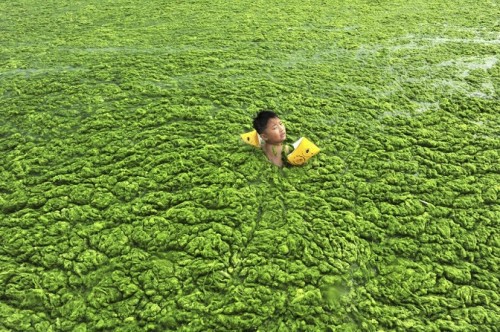 Một câu bé bơi trên dòng sông ô nhiễm ở Trung Quốc (Ảnh: Business Insider)