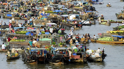 Mỗi năm Đồng bằng sông Cửu Long đóng góp 22% GDP của cả nước (Ảnh: VOV Online)